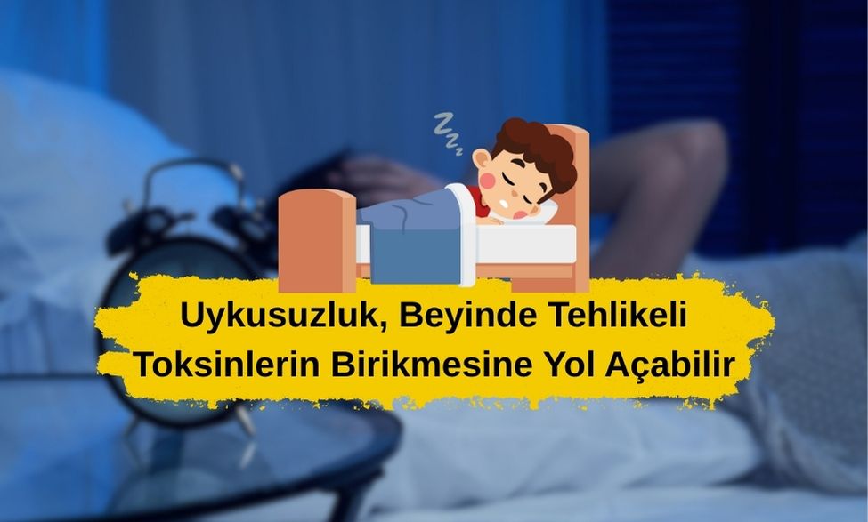 Uykusuzluk, Beyinde Tehlikeli Toksinlerin Birikmesine Yol Açabilir