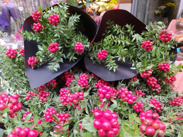 Çiçekçi Ne Kadar Maaş Alır?