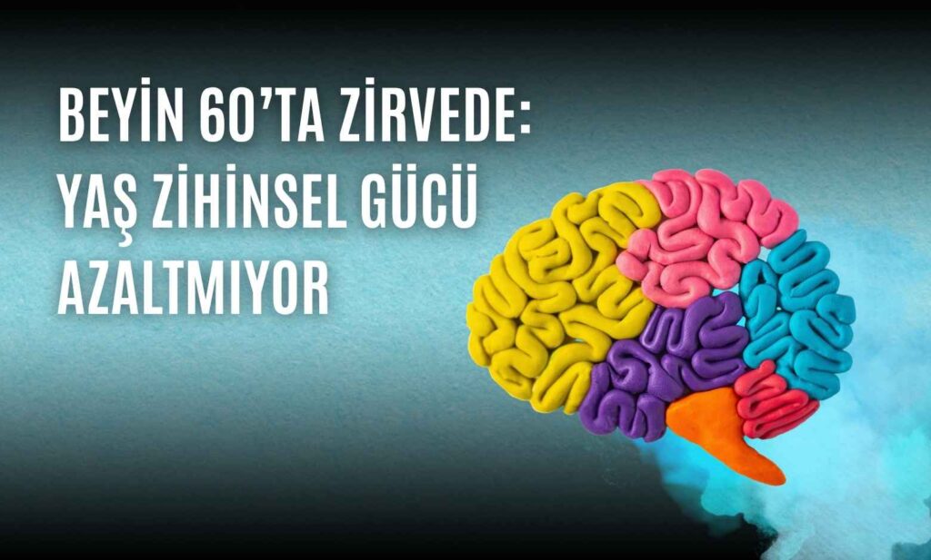Beyin 60’ta Zirvede: Yaş Zihinsel Gücü Azaltmıyor