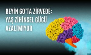 Beyin 60’ta Zirvede: Yaş Zihinsel Gücü Azaltmıyor