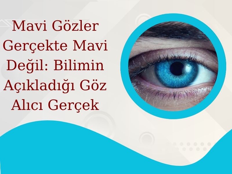 Mavi Gözler Gerçekte Mavi Değil: Bilimin Açıkladığı Göz...