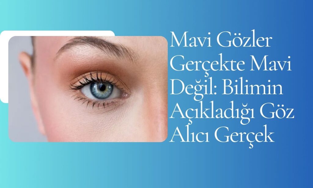 Mavi Gözler Gerçekte Mavi Değil: Bilimin Açıkladığı Göz Alıcı Gerçek