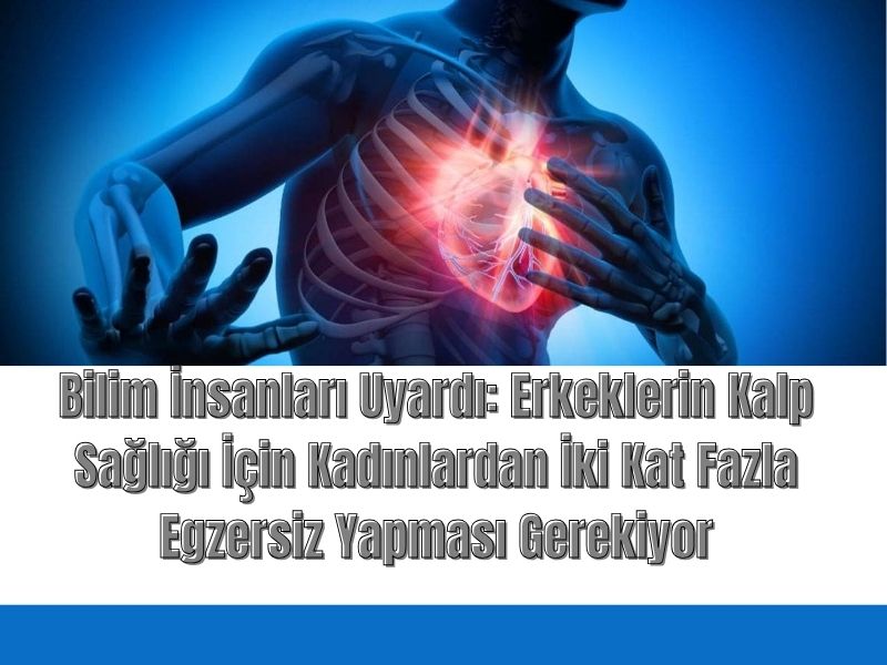 Bilim İnsanları Uyardı: Erkeklerin Kalp Sağlığı İçin Kadınlardan İki Kat Fazla Egzersiz Yapması Gerekiyor