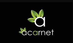 Sağlık Turizmi Seo