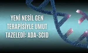Yeni Nesil Gen Terapisiyle Umut Tazeledi: ADA-SCID Hastası Onlarca Çocuk Hayata Tutundu
