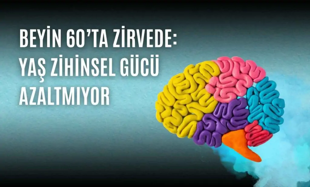 Beyin 60’ta Zirvede: Yaş Zihinsel Gücü Azaltmıyor