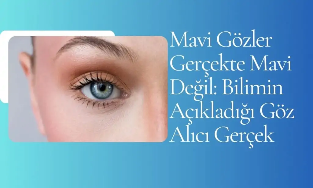 Mavi Gözler Gerçekte Mavi Değil: Bilimin Açıkladığı Göz Alıcı Gerçek